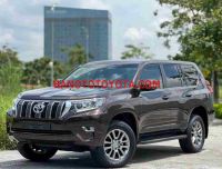 Cần bán gấp xe Toyota Prado VX 2.7L 2017 màu Nâu