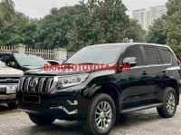 Cần bán Toyota Prado VX 2.7L 2019 xe đẹp